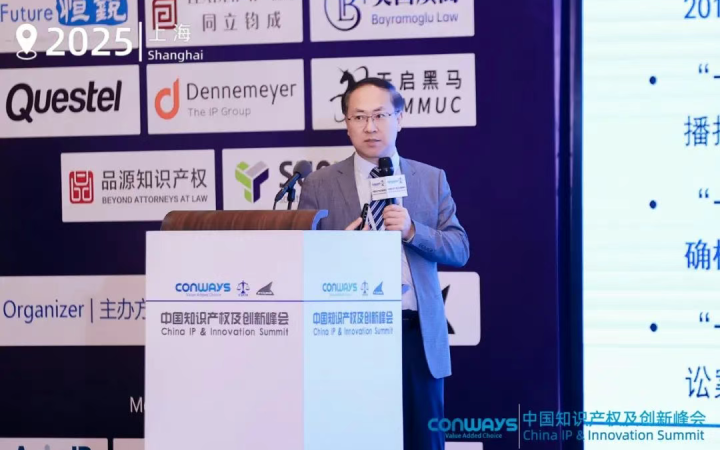 三聚陽光總裁張建綱出席CIPIS上海站 暢談專利訴訟應訴策略與實踐
